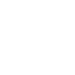 API Development